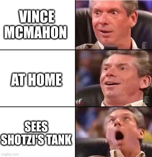 vince at home | VINCE MCMAHON; AT HOME; SEES SHOTZI'S TANK | image tagged in vince mcmahon | made w/ Imgflip meme maker
