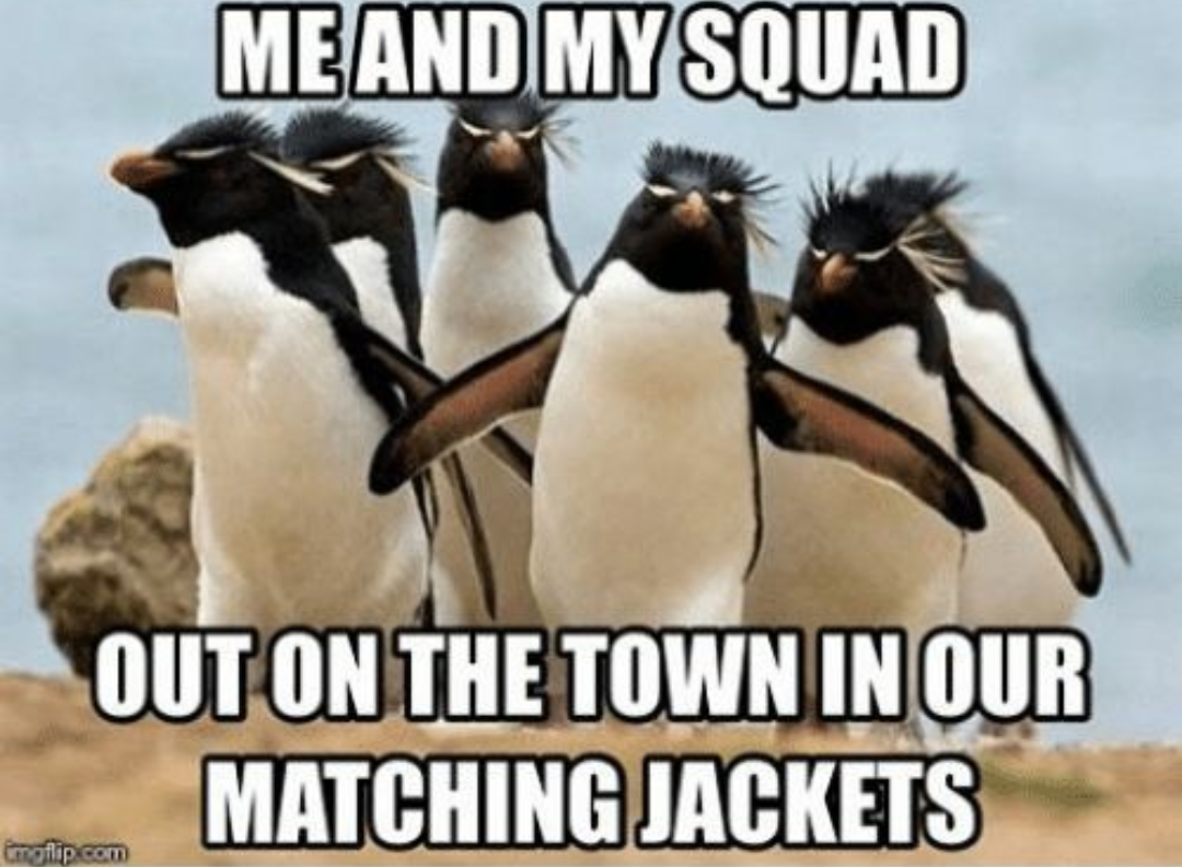 Penguin jackets Blank Meme Template