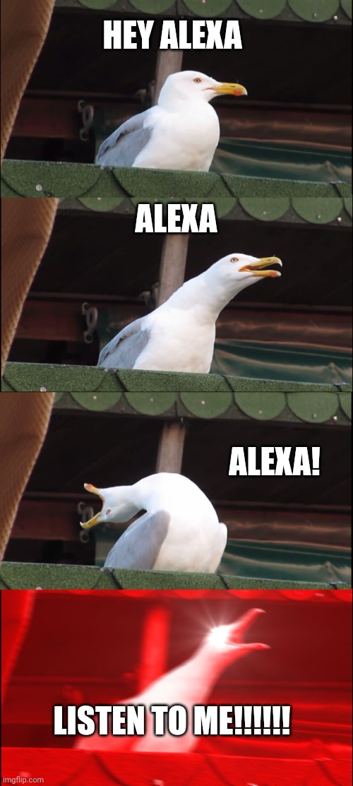 Alexa: I will ignore your ugly face | HEY ALEXA; ALEXA; ALEXA! LISTEN TO ME!!!!!! | image tagged in memes,inhaling seagull | made w/ Imgflip meme maker