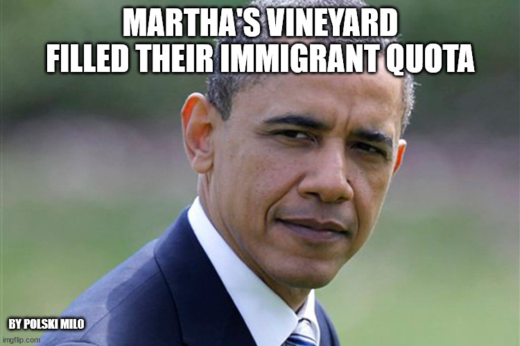 bummer | MARTHA'S VINEYARD FILLED THEIR IMMIGRANT QUOTA; BY POLSKI MILO | image tagged in political humor | made w/ Imgflip meme maker