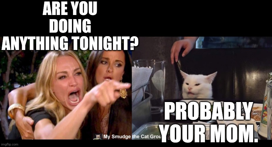 ARE YOU DOING ANYTHING TONIGHT? PROBABLY YOUR MOM. | image tagged in smudge the cat,woman yelling at cat,funny memes | made w/ Imgflip meme maker