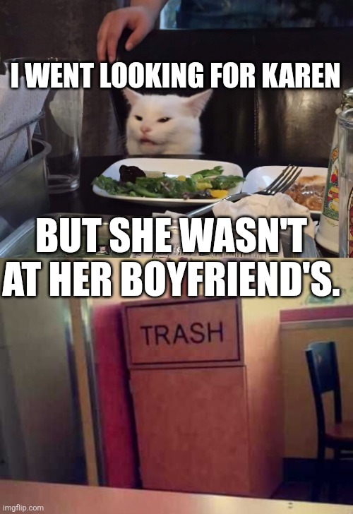 I WENT LOOKING FOR KAREN; BUT SHE WASN'T AT HER BOYFRIEND'S. | image tagged in smudge the cat | made w/ Imgflip meme maker