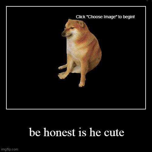 is the doge cute | image tagged in funny,demotivationals | made w/ Imgflip demotivational maker
