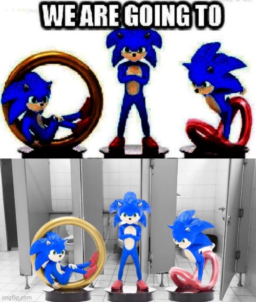 We are going to Toilet | image tagged in sonic the hedgehog,sonic movie,sonic,sonic memes,funny,memes | made w/ Imgflip meme maker