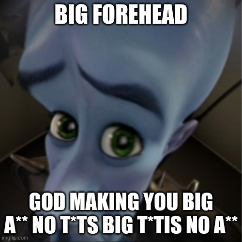 read from bottom up | BIG FOREHEAD; GOD MAKING YOU BIG A** NO T*TS BIG T*TIS NO A** | image tagged in megamind peeking | made w/ Imgflip meme maker