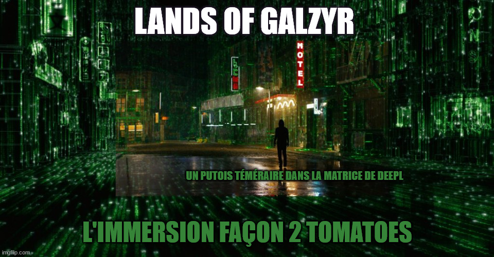 LANDS OF GALZYR; UN PUTOIS TÉMÉRAIRE DANS LA MATRICE DE DEEPL; L'IMMERSION FAÇON 2 TOMATOES | made w/ Imgflip meme maker