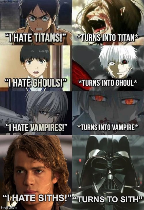 What have i done | “TURNS TO SITH”; “I HATE SITHS!” | image tagged in i hate titans turns into titan,star wars,anakin skywalker,darth vader | made w/ Imgflip meme maker
