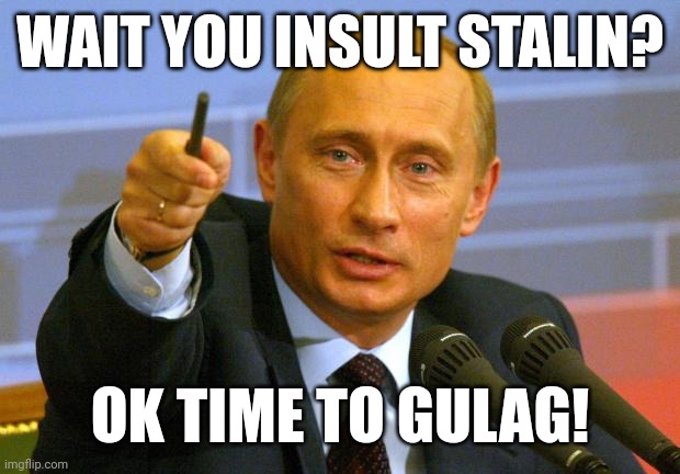 Putin Is angry! | WAIT YOU INSULT STALIN? OK TIME TO GULAG! | image tagged in memes,good guy putin,vladimir putin | made w/ Imgflip meme maker