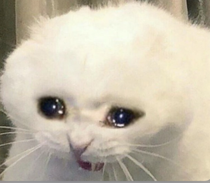 Cat crying Blank Meme Template