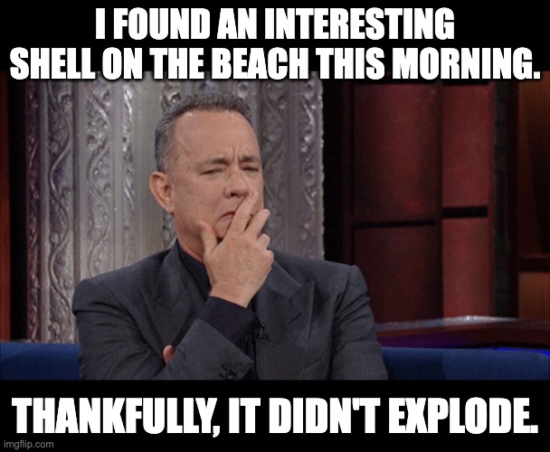 Shell | I FOUND AN INTERESTING SHELL ON THE BEACH THIS MORNING. THANKFULLY, IT DIDN'T EXPLODE. | image tagged in tom hanks hmm | made w/ Imgflip meme maker