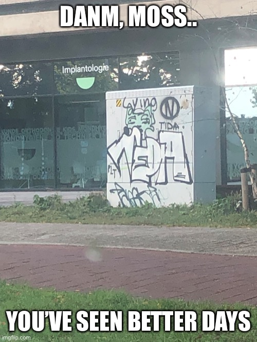 Graffiti I found in Arnhem | DANM, MOSS.. YOU’VE SEEN BETTER DAYS | made w/ Imgflip meme maker