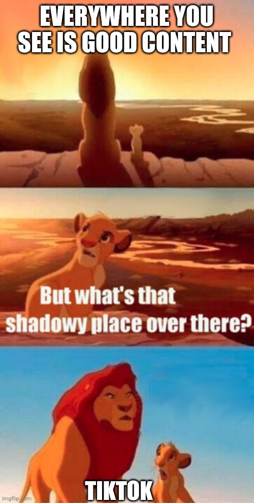 Tik tok bad man even the lion said so | EVERYWHERE YOU SEE IS GOOD CONTENT; TIKTOK | image tagged in memes,simba shadowy place | made w/ Imgflip meme maker