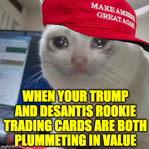 Crying MAGAt | WHEN YOUR TRUMP
AND DESANTIS ROOKIE
TRADING CARDS ARE BOTH
PLUMMETING IN VALUE | image tagged in crying cat,memes,crying magat,sad magat,mwa ha ha | made w/ Imgflip meme maker