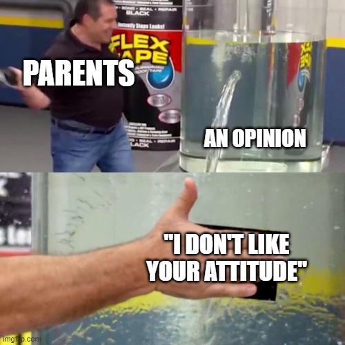 water tank leaking fix |  PARENTS; AN OPINION; "I DON'T LIKE YOUR ATTITUDE" | image tagged in water tank leaking fix | made w/ Imgflip meme maker