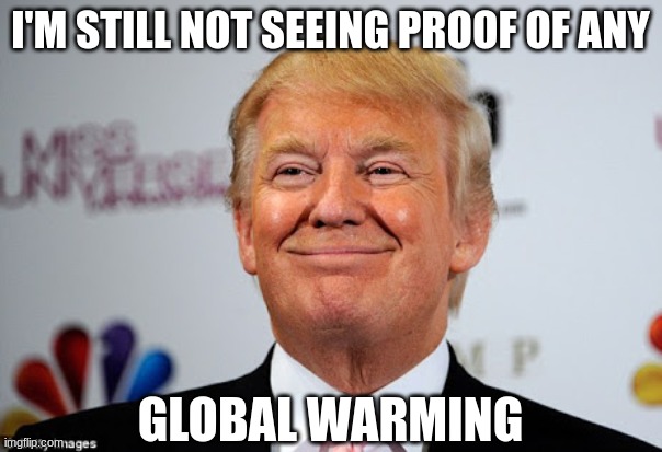 Donald trump approves | I'M STILL NOT SEEING PROOF OF ANY GLOBAL WARMING | image tagged in donald trump approves | made w/ Imgflip meme maker