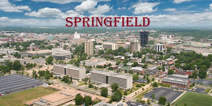 Springfield Mo Flag Blank Meme Template