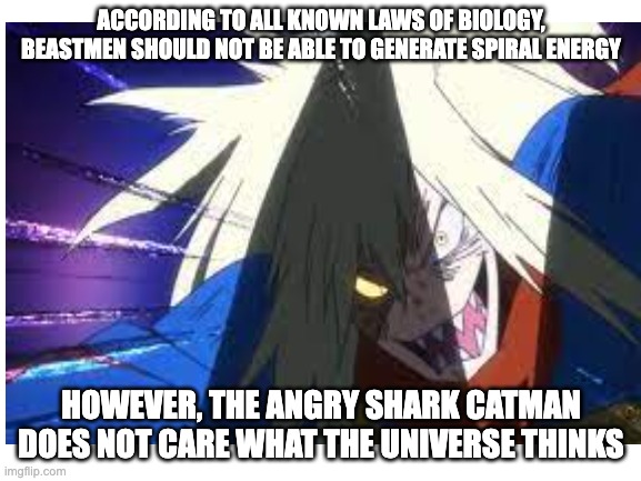 ACCORDING TO ALL KNOWN LAWS OF BIOLOGY, BEASTMEN SHOULD NOT BE ABLE TO GENERATE SPIRAL ENERGY; HOWEVER, THE ANGRY SHARK CATMAN DOES NOT CARE WHAT THE UNIVERSE THINKS | image tagged in blank white template,anime,bee movie | made w/ Imgflip meme maker