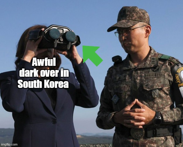 25th Amendment Insurance | Awful dark over in South Korea | image tagged in moronette | made w/ Imgflip meme maker