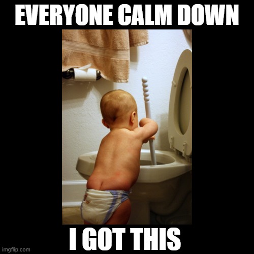 professional plumber | EVERYONE CALM DOWN; I GOT THIS | image tagged in cute baby,plumber,toilet humor,memes | made w/ Imgflip meme maker