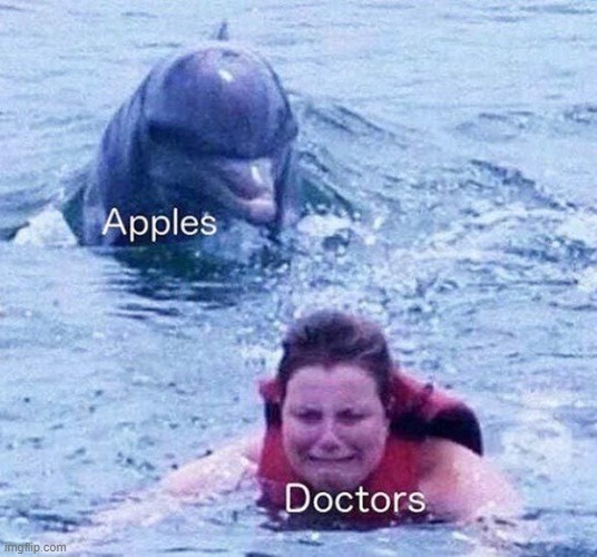 image tagged in memes | made w/ Imgflip meme maker