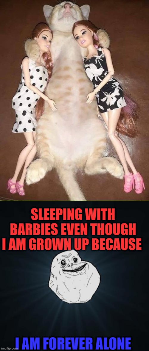 SLEEPING WITH BARBIES EVEN THOUGH I AM GROWN UP BECAUSE; I AM FOREVER ALONE | image tagged in forever alone,depression | made w/ Imgflip meme maker
