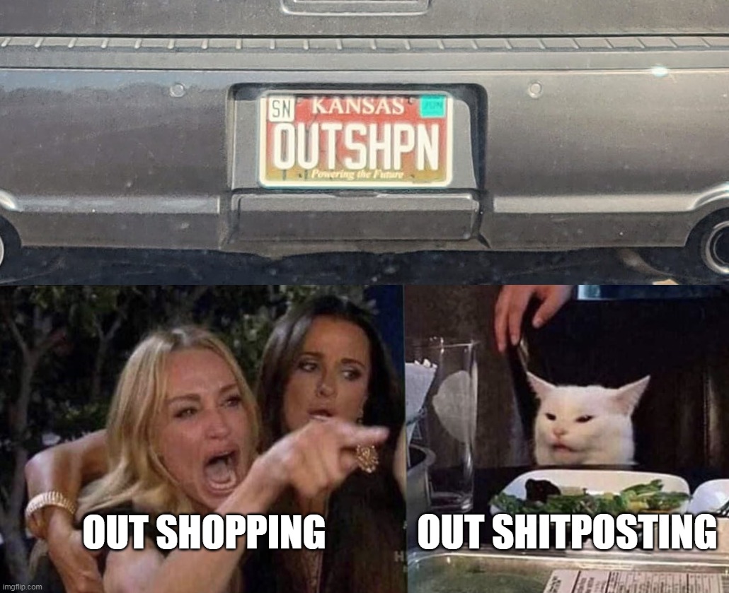 OUT SHITPOSTING; OUT SHOPPING | image tagged in woman yelling at cat,meme,memes,humor,funny,license plate | made w/ Imgflip meme maker