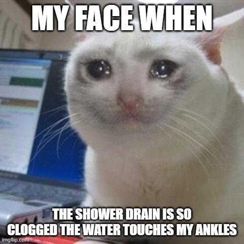 I don't like it | MY FACE WHEN; THE SHOWER DRAIN IS SO CLOGGED THE WATER TOUCHES MY ANKLES | image tagged in crying cat,cats,cat memes,memes,plumbing | made w/ Imgflip meme maker
