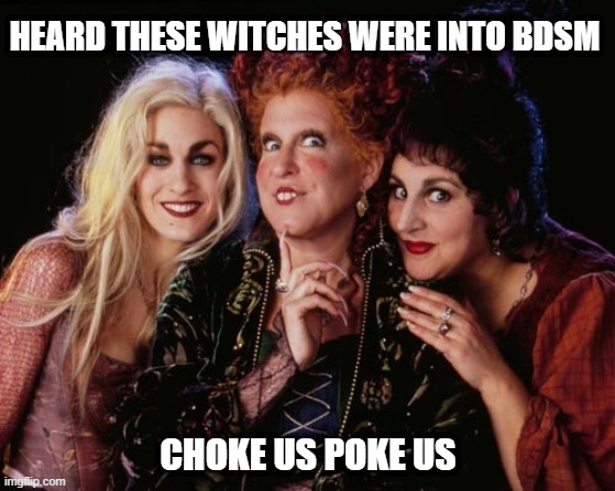Now That's a Movie I Pay to See | HEARD THESE WITCHES WERE INTO BDSM; CHOKE US POKE US | image tagged in hocus pocus and chill | made w/ Imgflip meme maker