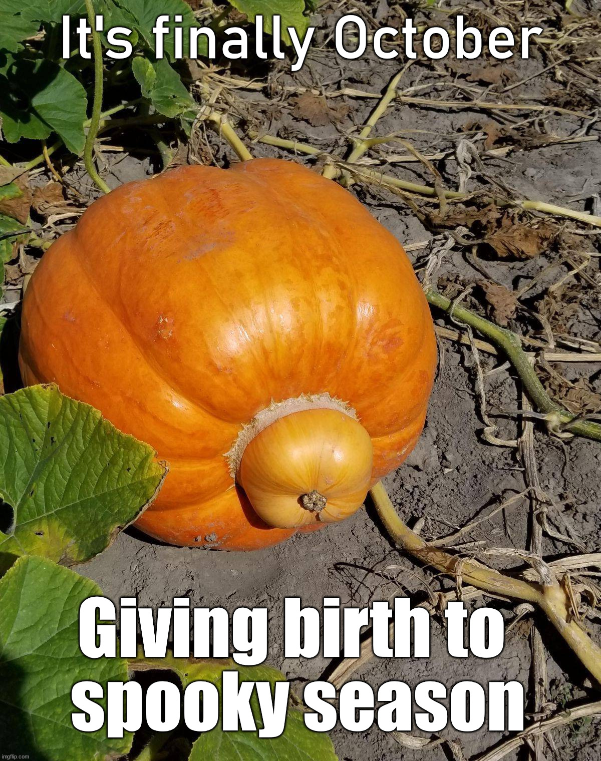 October is finally here, spooky season starts | It's finally October; Giving birth to 
spooky season | image tagged in spooky month | made w/ Imgflip meme maker