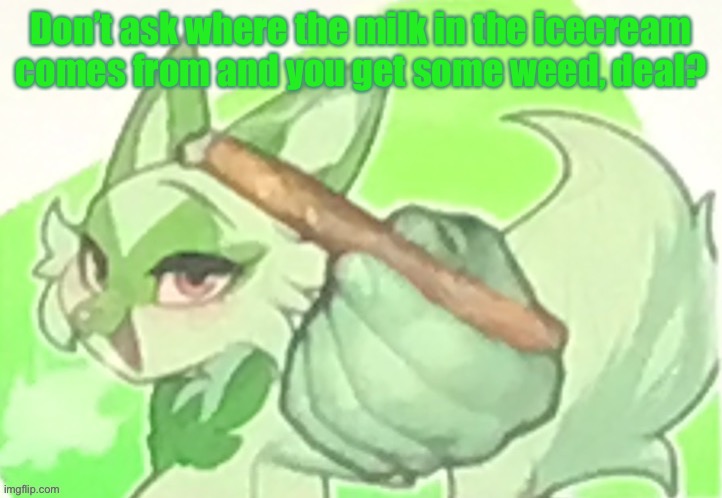 Weed Cat | Don’t ask where the milk in the icecream comes from and you get some weed, deal? | image tagged in weed cat | made w/ Imgflip meme maker