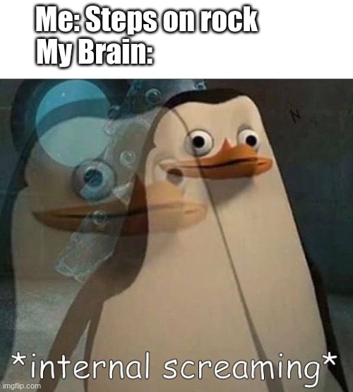 Based on a true story | Me: Steps on rock            
My Brain: | image tagged in internal screaming,scary | made w/ Imgflip meme maker