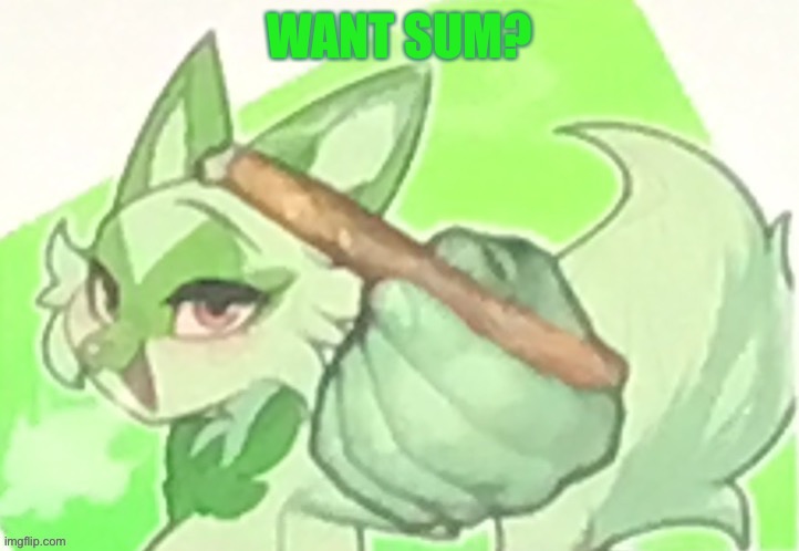 Weed Cat | WANT SUM? | image tagged in weed cat | made w/ Imgflip meme maker