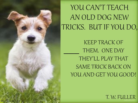 Quotable Quotes 4 (Dogs) | YOU CAN'T TEACH AN OLD DOG NEW TRICKS.  BUT IF YOU DO, KEEP TRACK OF THEM.  ONE DAY THEY'LL PLAY THAT SAME TRICK BACK ON YOU AND GET YOU GOOD! ___; T. W. FULLER | image tagged in memes,quotes,funny dog memes,dogs,humor,quotable quotes | made w/ Imgflip meme maker