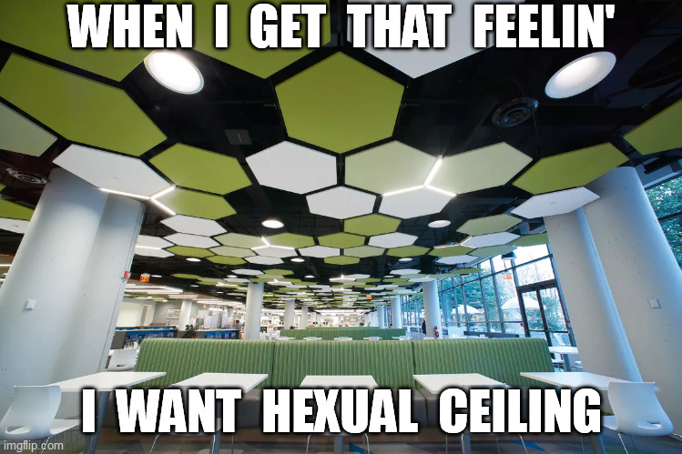 Hexual Ceiling | WHEN  I  GET  THAT  FEELIN'; I  WANT  HEXUAL  CEILING | image tagged in marvin gaye,sexual healing,architecture | made w/ Imgflip meme maker