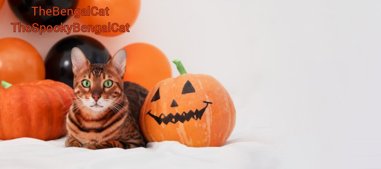 TheSpookyBengalCat annoucment template Blank Meme Template