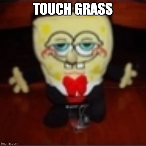 idk.jpg | TOUCH GRASS | image tagged in idk jpg | made w/ Imgflip meme maker