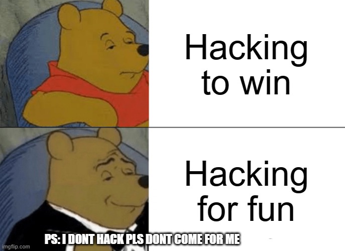 This is from people I met online's POV | Hacking to win; Hacking for fun; PS: I DONT HACK PLS DONT COME FOR ME | image tagged in memes,tuxedo winnie the pooh | made w/ Imgflip meme maker