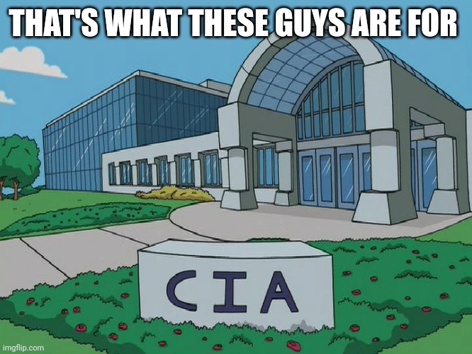 CIA headquarters | THAT'S WHAT THESE GUYS ARE FOR | image tagged in cia headquarters | made w/ Imgflip meme maker