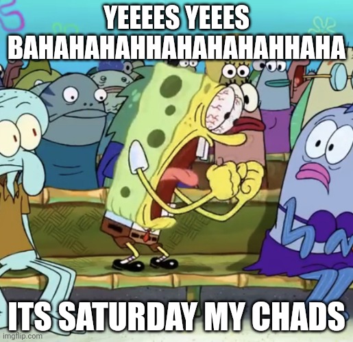 It is Saturday my chads | YEEEES YEEES BAHAHAHAHHAHAHAHAHHAHA; ITS SATURDAY MY CHADS | image tagged in sponge bob yelling | made w/ Imgflip meme maker