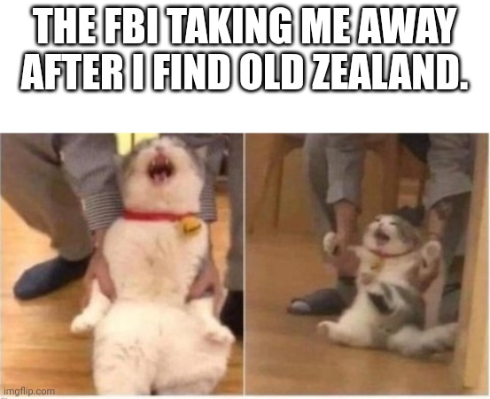 Cat being arrested | THE FBI TAKING ME AWAY AFTER I FIND OLD ZEALAND. | image tagged in cat being arrested | made w/ Imgflip meme maker