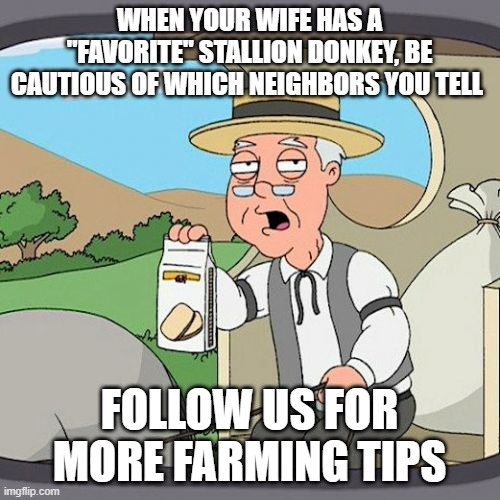 Pepperidge Farm Remembers | WHEN YOUR WIFE HAS A "FAVORITE" STALLION DONKEY, BE CAUTIOUS OF WHICH NEIGHBORS YOU TELL; FOLLOW US FOR MORE FARMING TIPS | image tagged in memes,pepperidge farm remembers | made w/ Imgflip meme maker