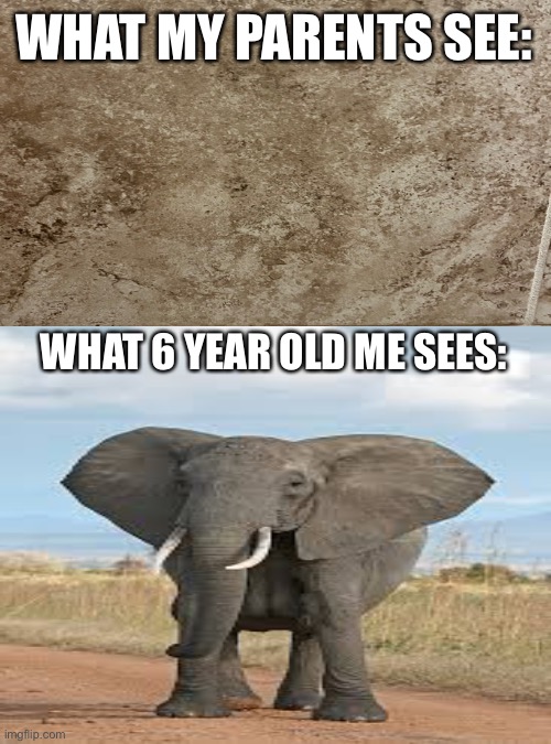 Ok I lied. I’m 14 and still see it | WHAT MY PARENTS SEE:; WHAT 6 YEAR OLD ME SEES: | image tagged in white background,blank white template | made w/ Imgflip meme maker