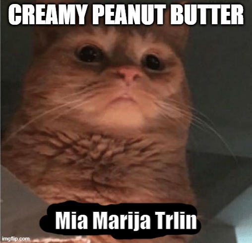 CREAMY PEANUT BUTTER Mia Marija Trlin | image tagged in pathetic cat | made w/ Imgflip meme maker
