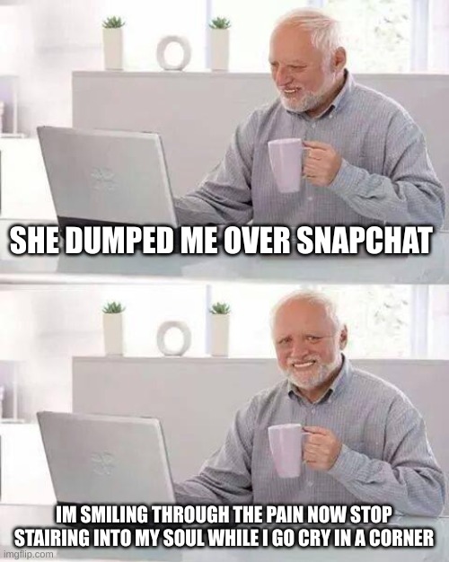 idk | SHE DUMPED ME OVER SNAPCHAT; IM SMILING THROUGH THE PAIN NOW STOP STAIRING INTO MY SOUL WHILE I GO CRY IN A CORNER | image tagged in memes,hide the pain harold | made w/ Imgflip meme maker