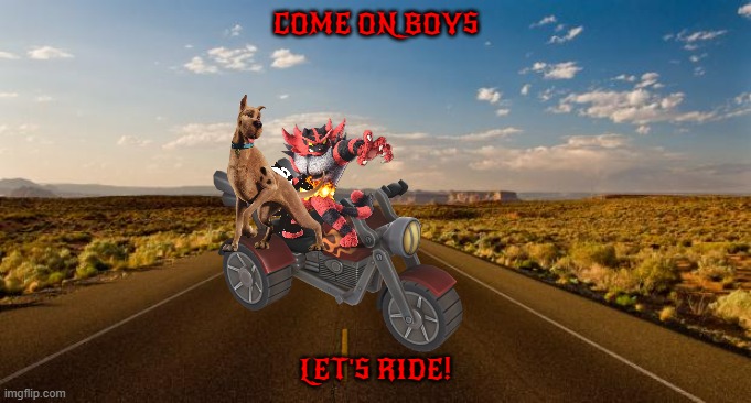 let's ride | COME ON BOYS; LET'S RIDE! | image tagged in the road,cats,dogs,best friends,memes | made w/ Imgflip meme maker