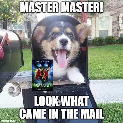 master master look what came in the mail | MASTER MASTER! LOOK WHAT CAME IN THE MAIL | image tagged in cute doggo in mailbox,scooby doo,warner bros,memes | made w/ Imgflip meme maker
