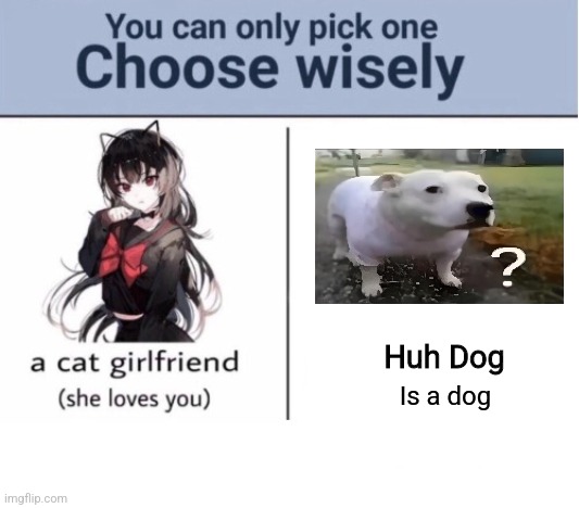 Choose wisely | Huh Dog; Is a dog | image tagged in choose wisely | made w/ Imgflip meme maker