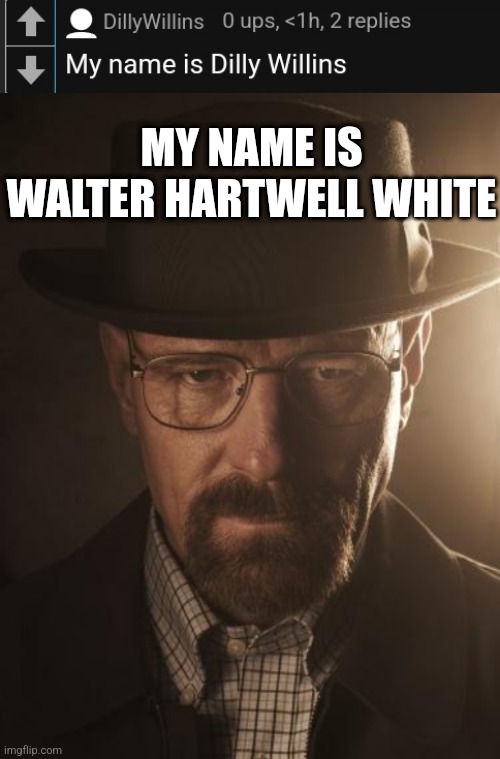 MY NAME IS WALTER HARTWELL WHITE | image tagged in walter white | made w/ Imgflip meme maker