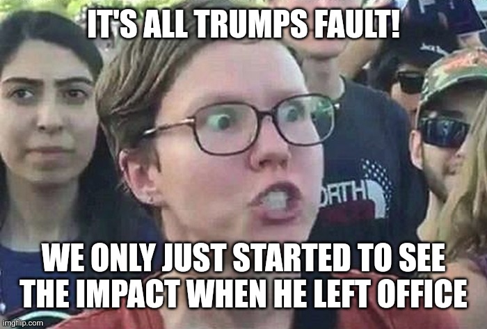 Triggered Liberal | IT'S ALL TRUMPS FAULT! WE ONLY JUST STARTED TO SEE THE IMPACT WHEN HE LEFT OFFICE | image tagged in triggered liberal | made w/ Imgflip meme maker