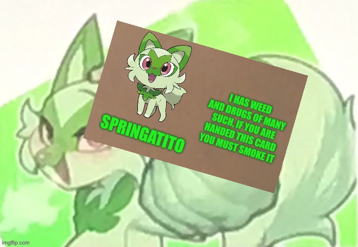 Weed Cat | SPRINGATITO I HAS WEED AND DRUGS OF MANY SUCH, IF YOU ARE HANDED THIS CARD YOU MUST SMOKE IT | image tagged in weed cat | made w/ Imgflip meme maker